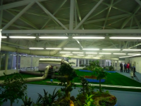 /album/repino2/picture-28-png/